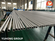 Bright Annealed Stainless Steel Tube TP304, TP347, TP316, TP316L, TP316Ti with Cold Press. Plain End with Plastic Cap