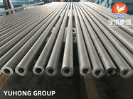 A213 Seamless Heat Exchanger Tube Material TP304 / 304L/316/347H Seamless Air Cooler Tube Pickled And Annealed