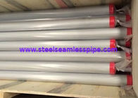 TP304 TP304L TP304N SS Seamless Pipe ASTM A312 For Food Processing Equipment